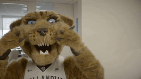 Villanova Wildcats Cute Mascot Will D Cat GIF