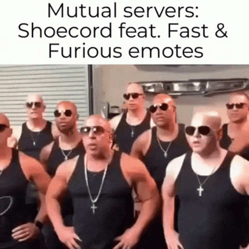 Vin Diesel Family Mutual Servers Meme GIF