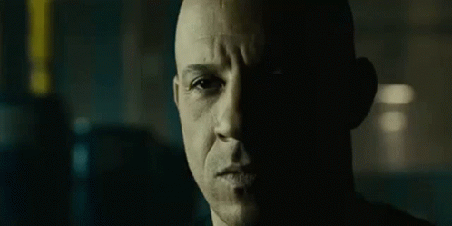 Vin Diesel Family Panda Meme GIF