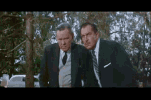 Vincent Price Web Gif GIF