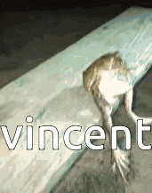 Vincent Vincent Frog Gif GIF