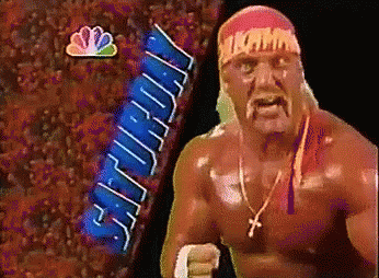 Vintage Hulk Hogan Saturday Brother GIF