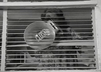 Vintage Lady Placing Closed Sign GIF