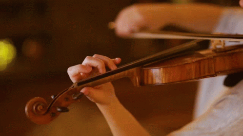 Violin Classy Performance GIF