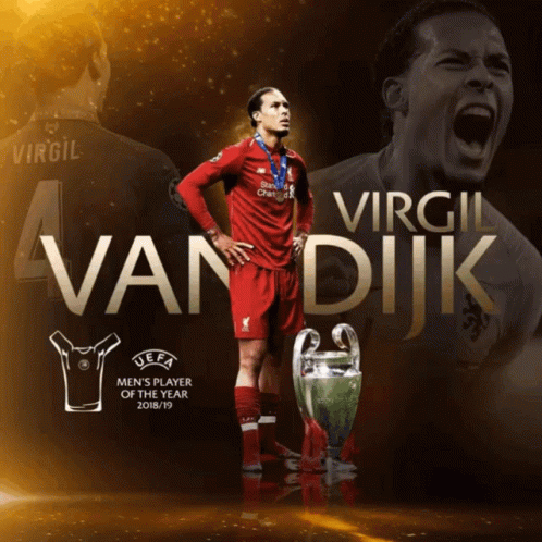 Virgil van Dijk Men's Player of the Year 2018/19