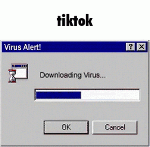 Virus Alert Downloading Tiktok GIF