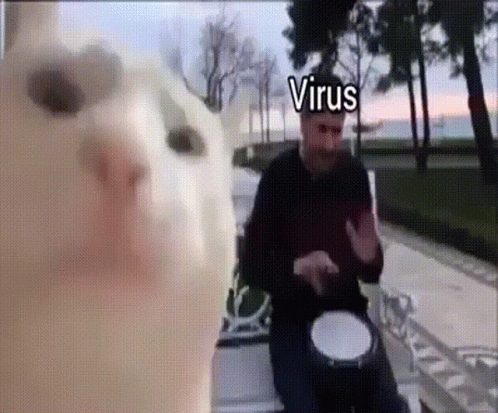 Virus Cat Windows Computer GIF