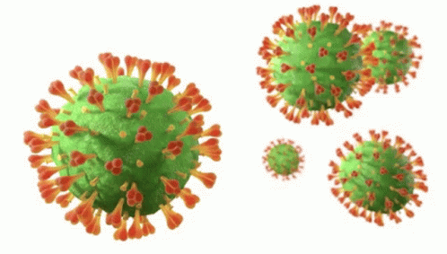 Virus Dna Covid 19 GIF