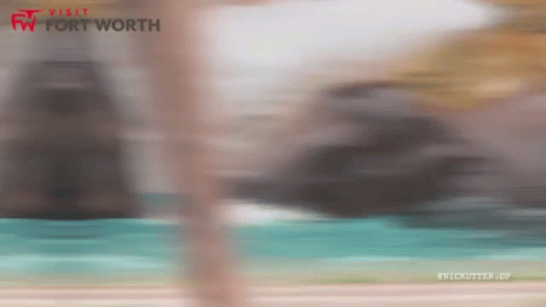 Visit Fort Worth GIF