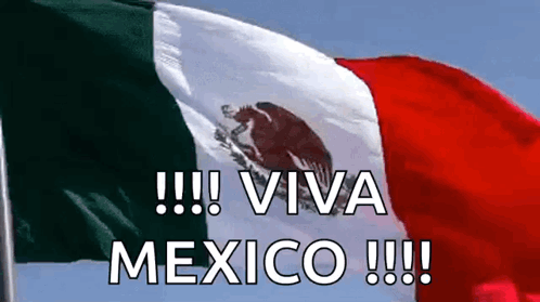 Viva Mexico Mexican Flag Waving