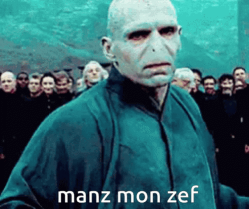 Voldemort 498 X 418 Gif GIF