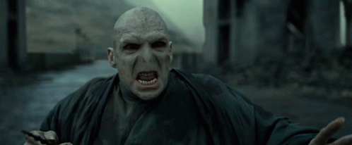 Voldemort And Harry Potter Fighting GIF