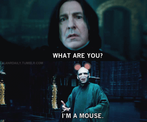 Voldemort Answer He Is A Mouse GIF