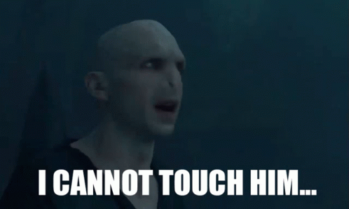Voldemort Cannot Touch Him GIF