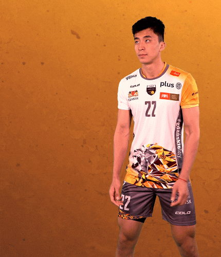 Volleyball Player Number 22 GIF