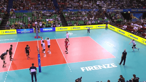 Volleyball World Game High Five GIF