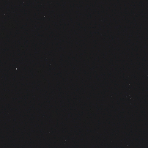 Vote And Voice Will Win GIF