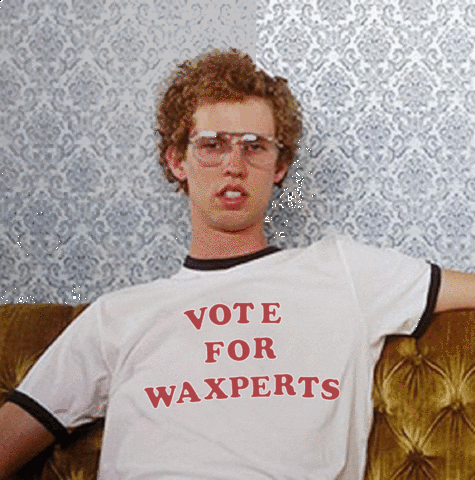 Vote For Pedro Waxperts Meme GIF