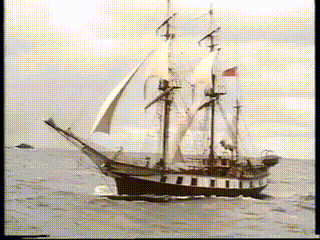 Voyage Of The Beagle Charles Darwin Gif GIF