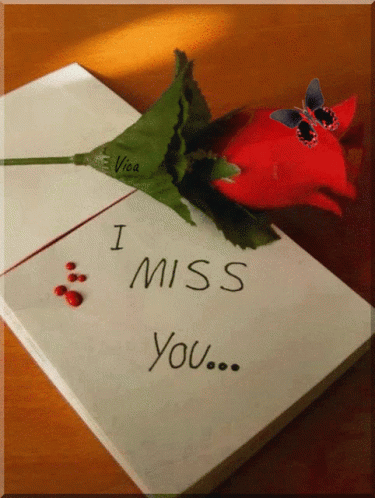 Animated Rose Butterfly Missing You GIF