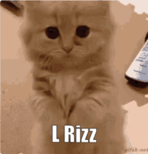 W Rizz Cute Little Kitty Puppy Dog Eyes GIF