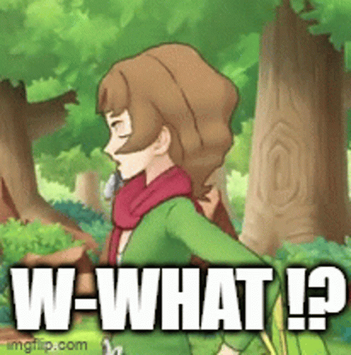 W What Pokemon Burgh GIF