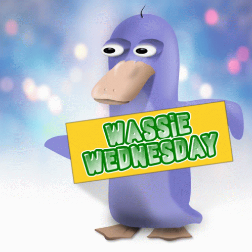 Wacky Wednesday Wassie Smolting GIF