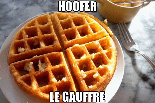 Waffle on Plate with Hoofer Le Gauffre