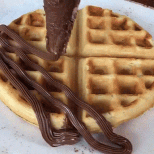 Waffle With Chocolate Sauce GIF