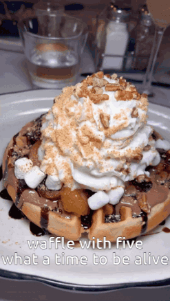 Waffle With Whipped Cream and Marshmallows