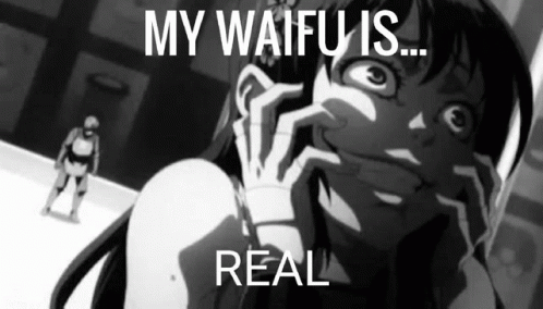 Waifu Is Really Real GIF