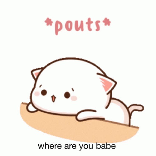 Waiting Cat Animation Where  GIF