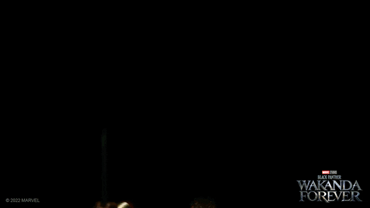 Wakanda Out Of The Shadow GIF
