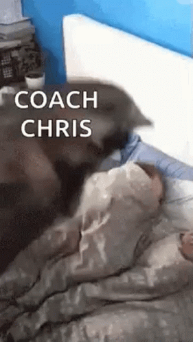 Wake Up Monday Meme GIF