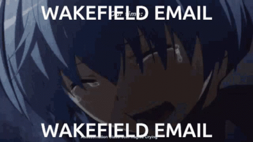 Wakefield Email