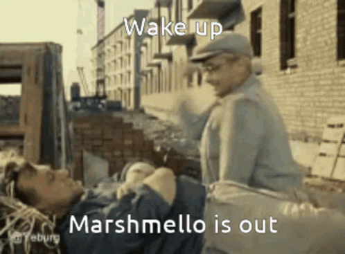 Wakeup Marshmello Is Out GIF