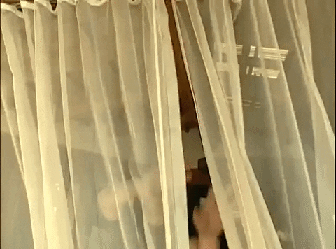 Waking Up Curtain Opening GIF