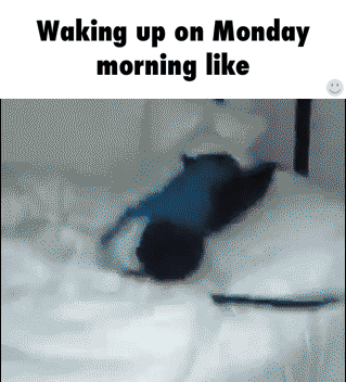 Waking Up On Monday Morning Like GIF