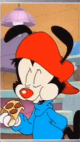 Wakko Warner Animaniacs Gif GIF