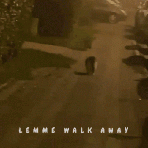 Walk Away Chubby Cat GIF