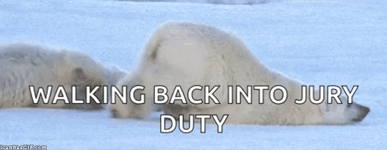Walking Back To Jury Duty Polar Bear Crawling GIF