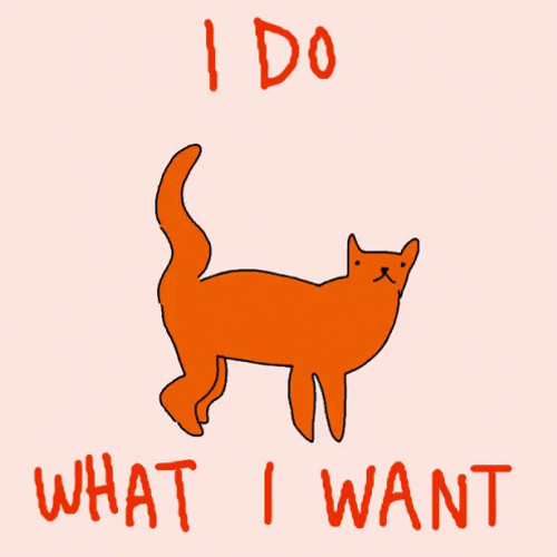 Walking Cat I Do What I Want GIF