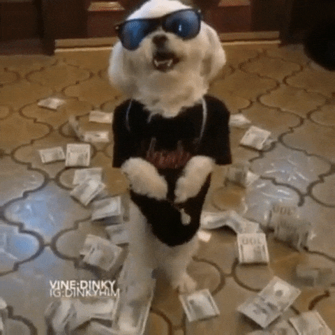 Walking Dog With Money On The Floor GIF