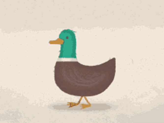 Walking Duck Quack Flap Animation Animal GIF
