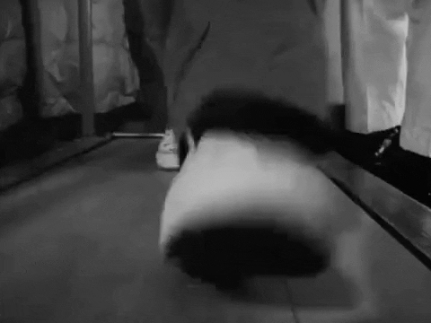 Walking Fast Steady Rhythm GIF