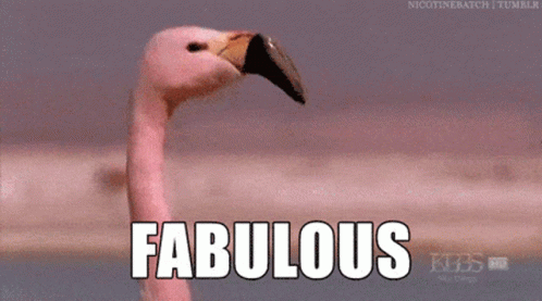 Walking Flamingo GIF