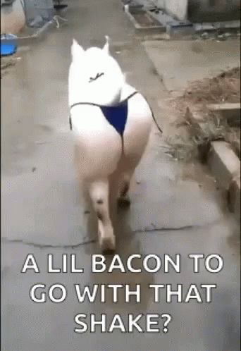Walking Sexy And Squeal Like A Pig GIF