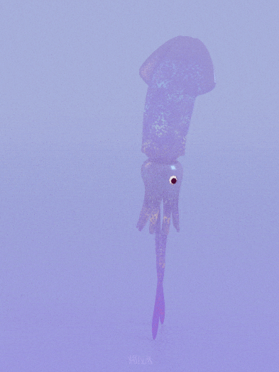 Walking Tall Squid GIF