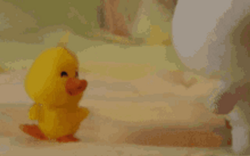 Walking Yellow Duck Cute Mofy GIF