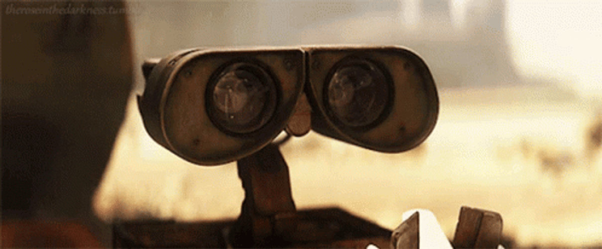 Wall E Binocular Eyes Staring Intensely  GIF